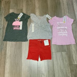 Lot of Cat and Jack Toddler Girls Clothes Tshirts Shorts Size 4T